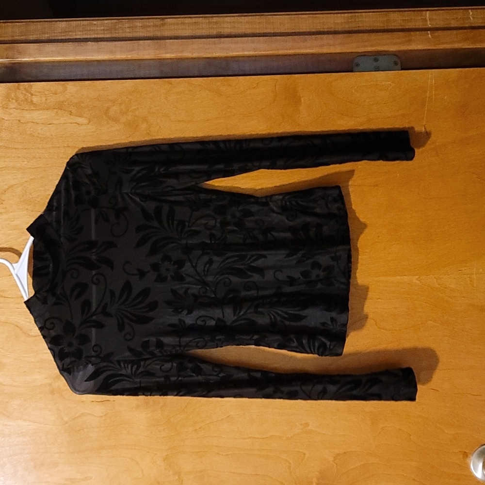 Long Sleeve Sheer Top